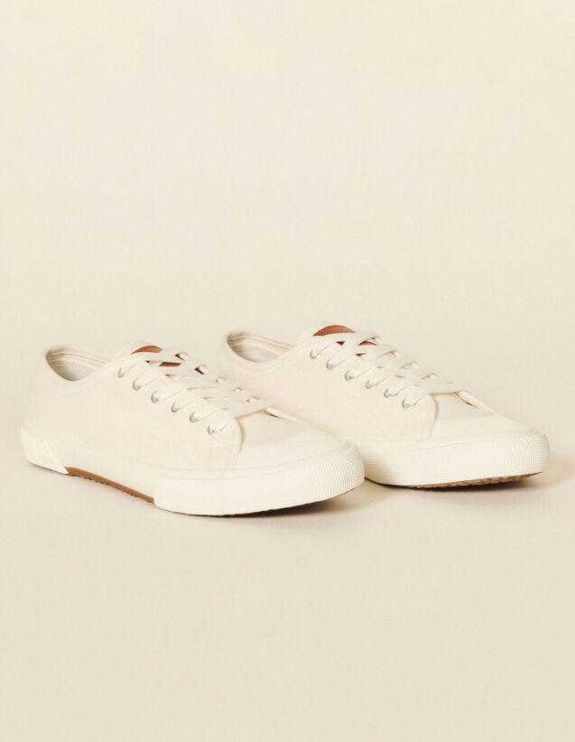Low-Top Canvas Trainers : Shoes color white