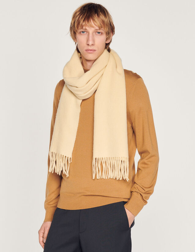 Wool And Cashmere Scarf : Scarves color Black