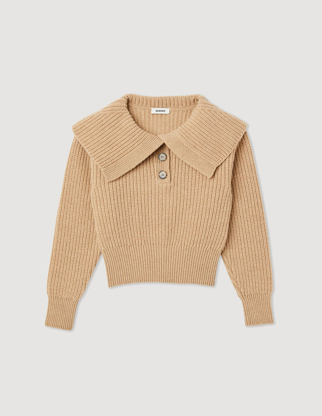 Cropped Knit Sweater : Sweaters & Cardigans color Beige