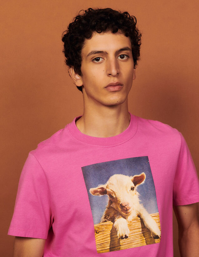 Cotton T-Shirt With Imagery : T-shirts & Polo shirts color Pink
