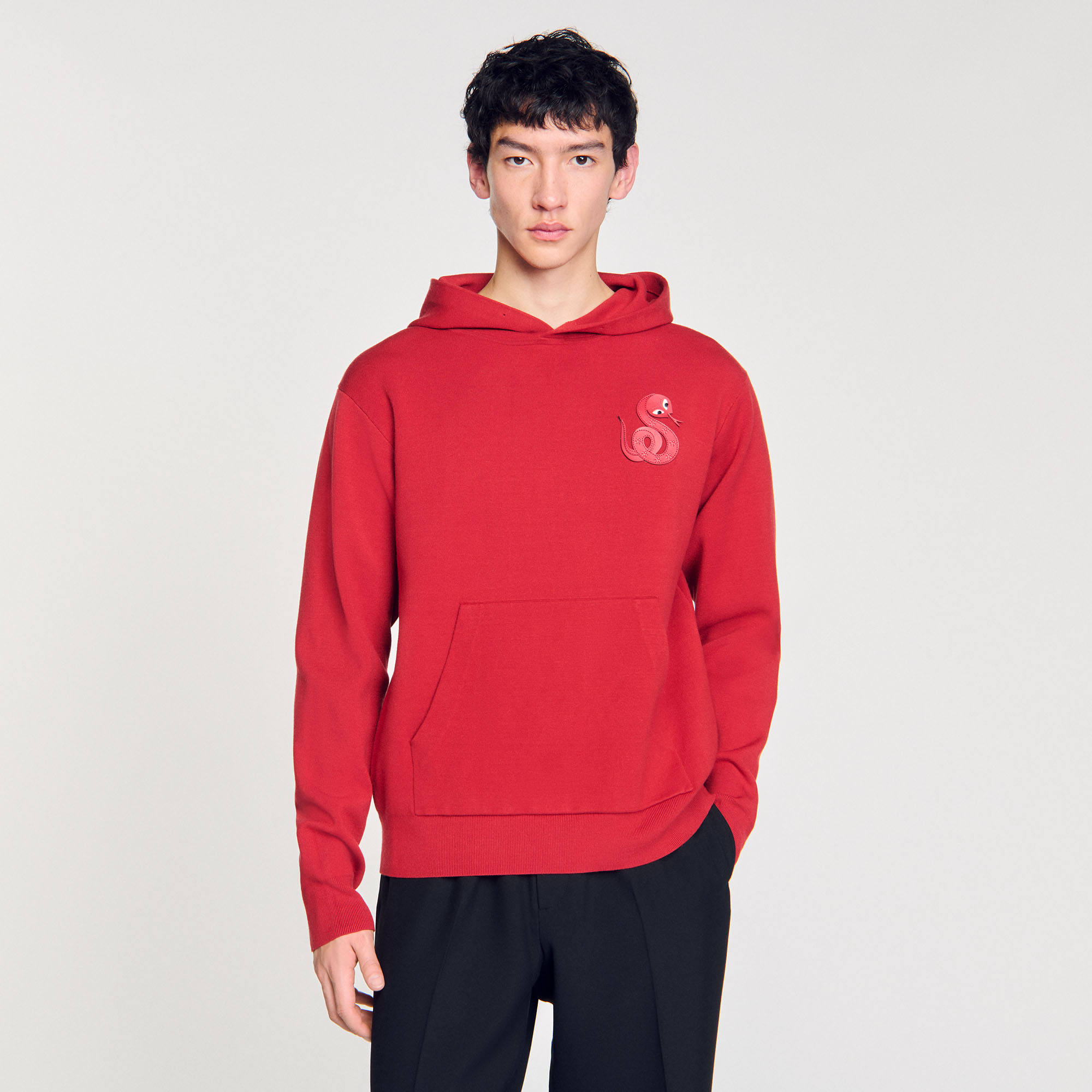Floral pattern hoodie pink for Men | Sandro Paris